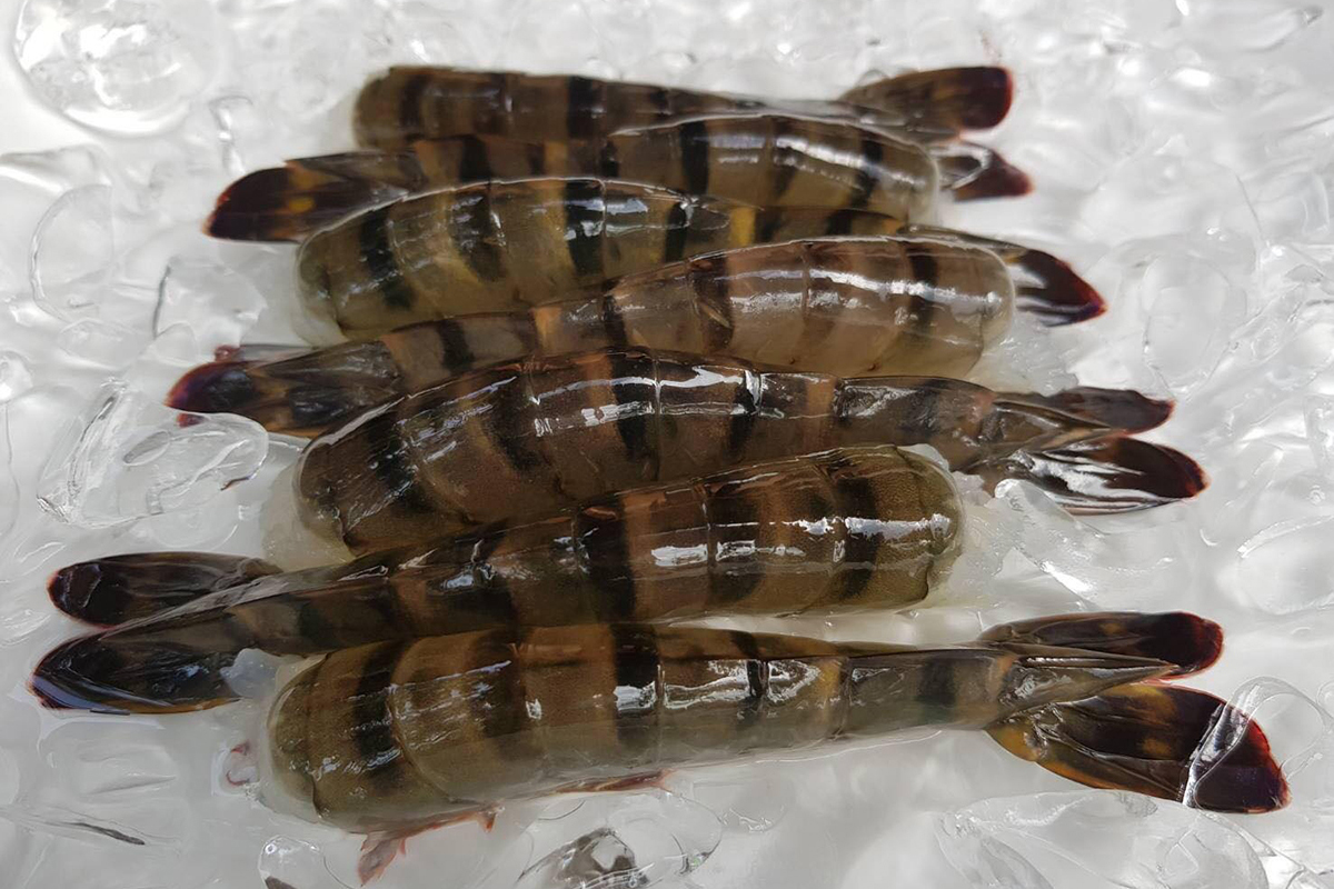 Cloud Zoom small image