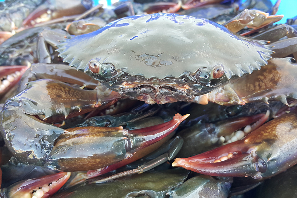 Cloud Zoom small image